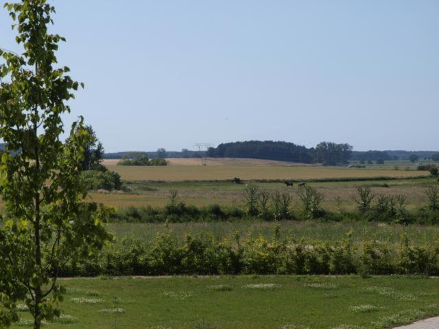 Mellenthin Feriendorf Alte Schmiede חדר תמונה